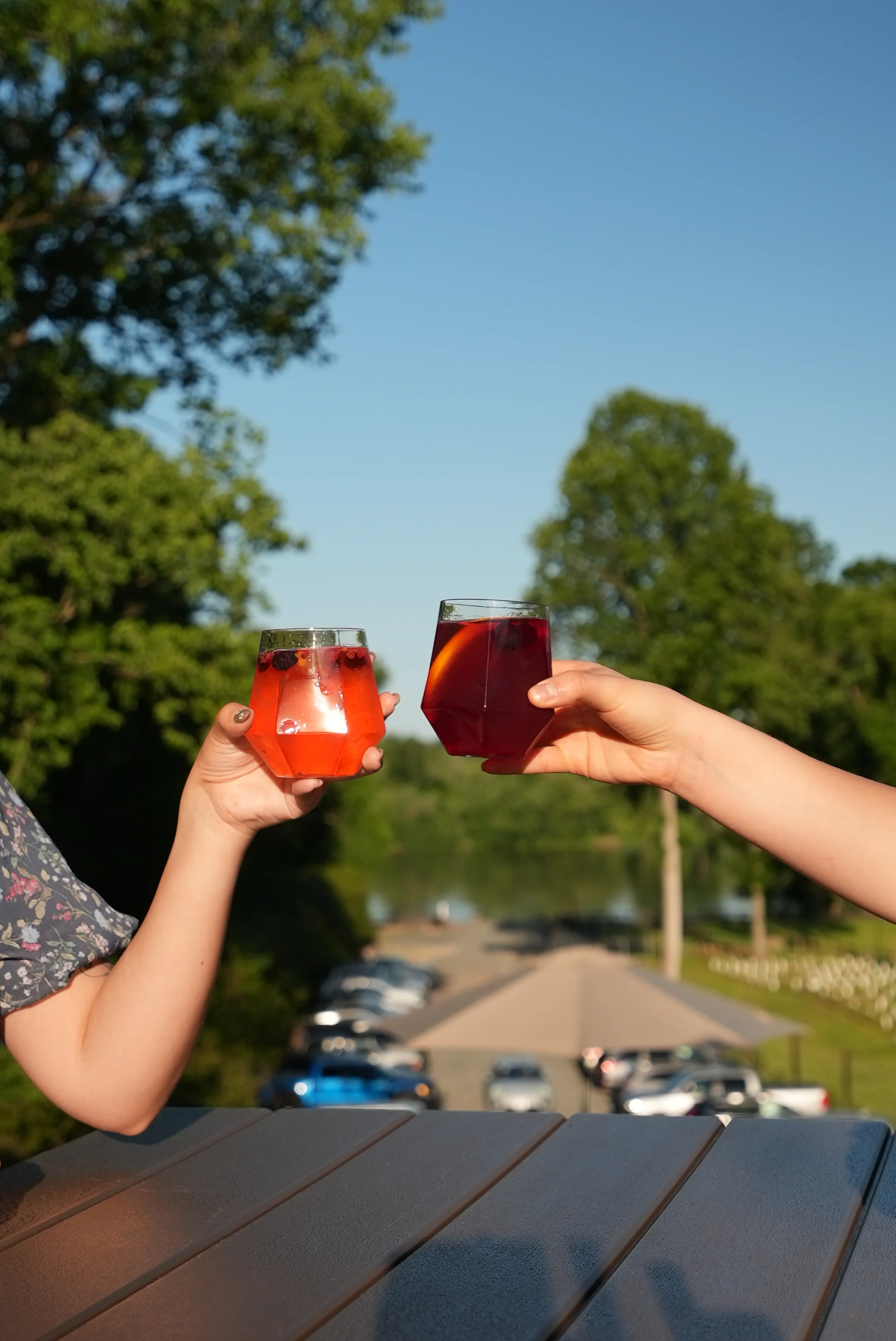 Glasses raised on the river terrace at Whites Ferry Brewery & Winery